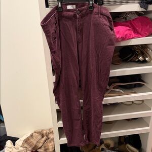 LOFT Plum & Black Cropped Ankle Pants